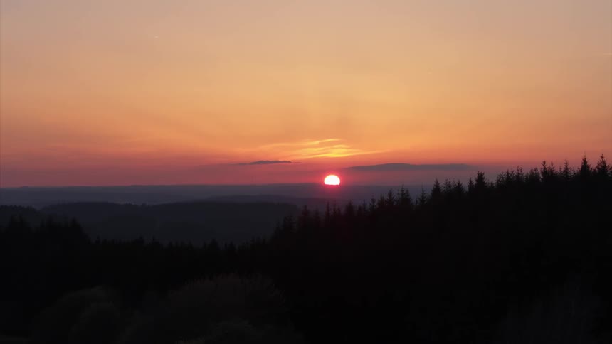 Sun setting with a forest standing before it