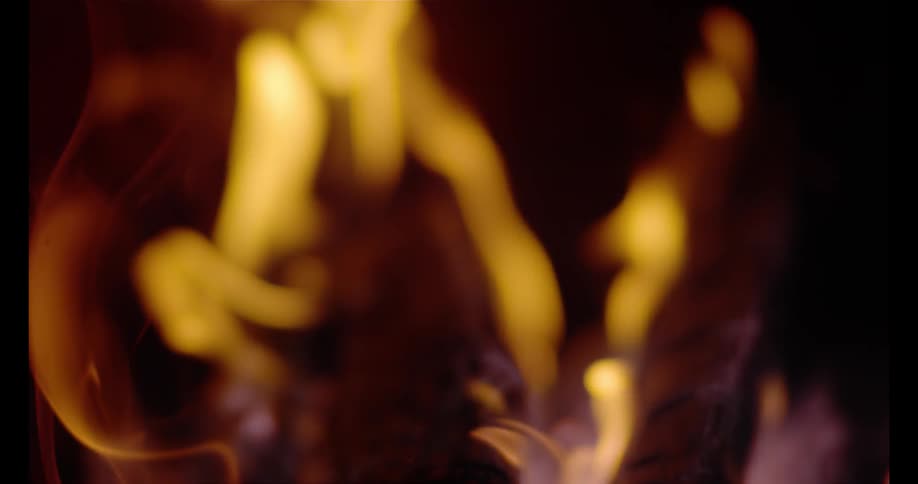 Flames are burning on charred logs