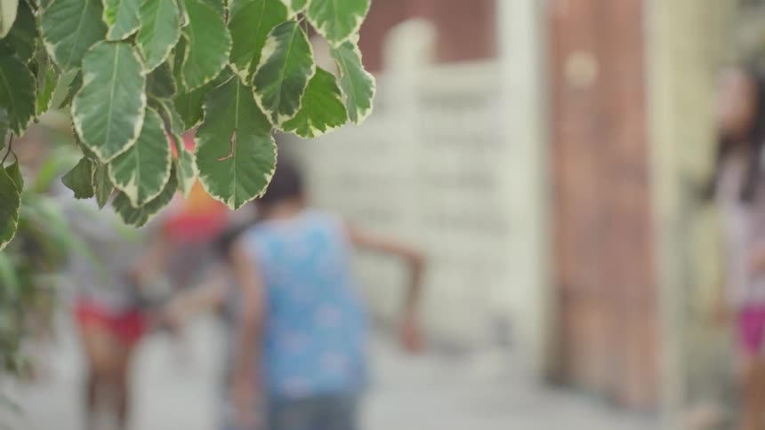 Children playing near a tree with green leaves