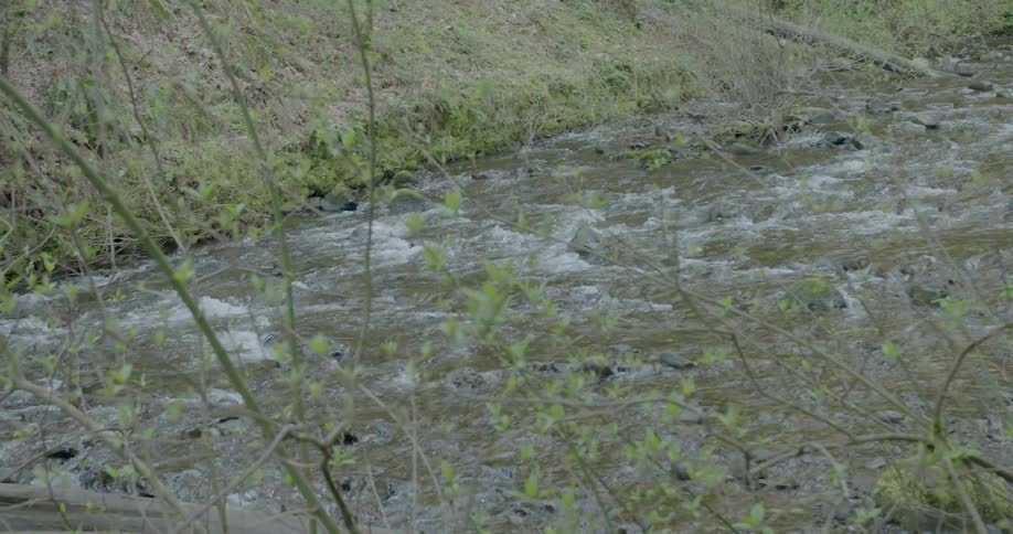 A swift stream running