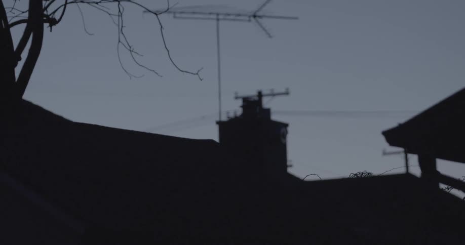 Power lines and tops of buildings at dusk