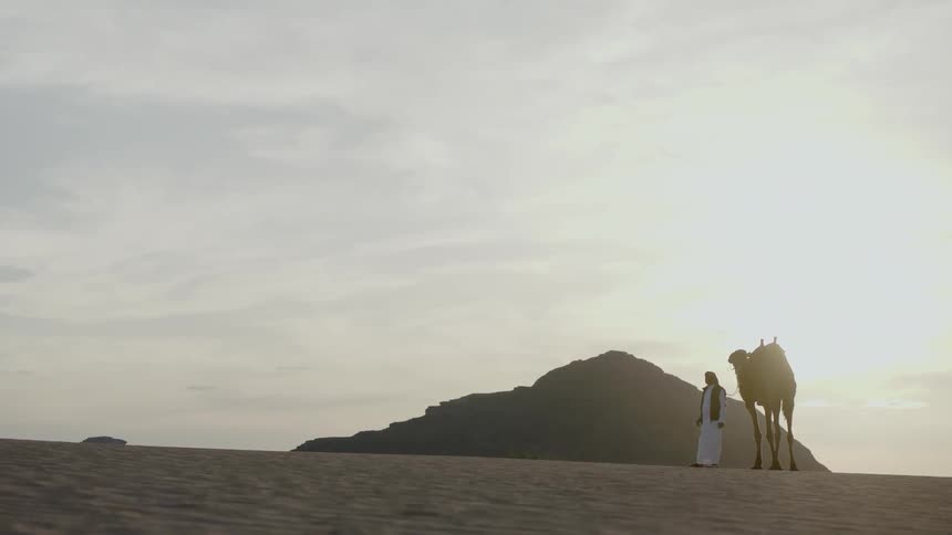 A man stands near a camel in the desert