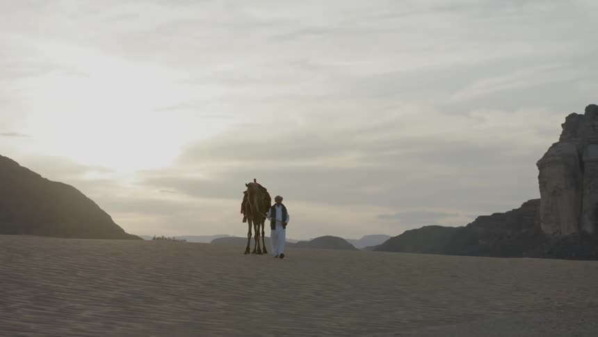 A man leads a camel as they both walk through the sand
