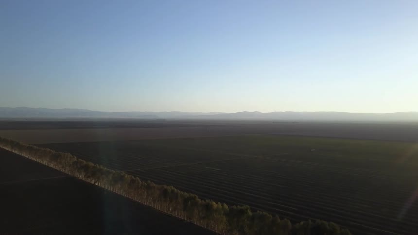 Two fields split by a line of trees
