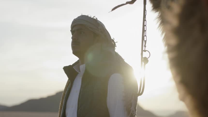 A man stands near a camel