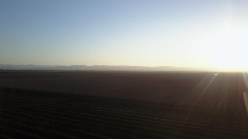 Crops grow in neat lines on farmland
