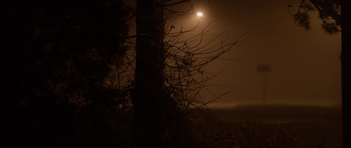 Vehicles travel under a night sky