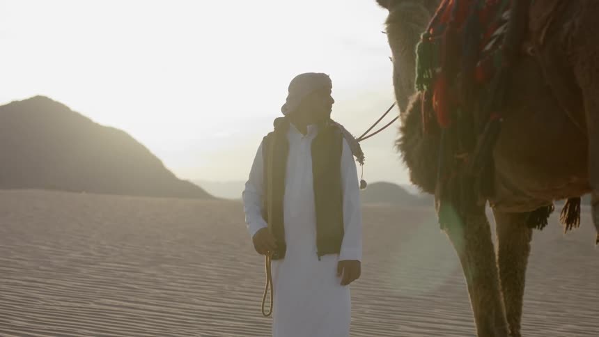 A man is standing and holding the leash of his camel