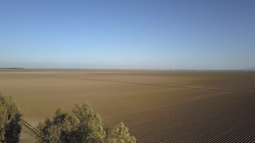 Farm fields stretch out towards the horizon on a sunny day
