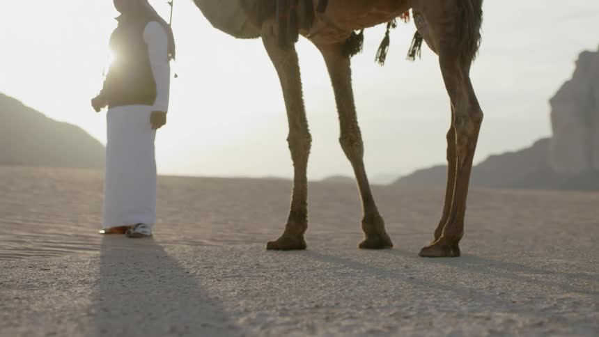 Man and camel stand in the desert on a sunny day