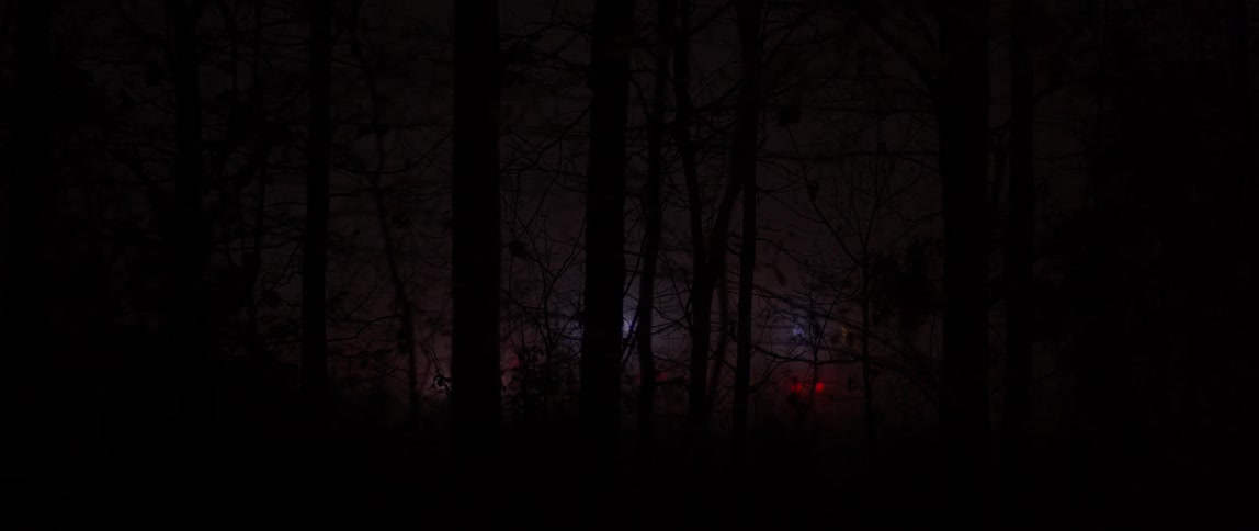 Vehicle headlights illuminate the road
