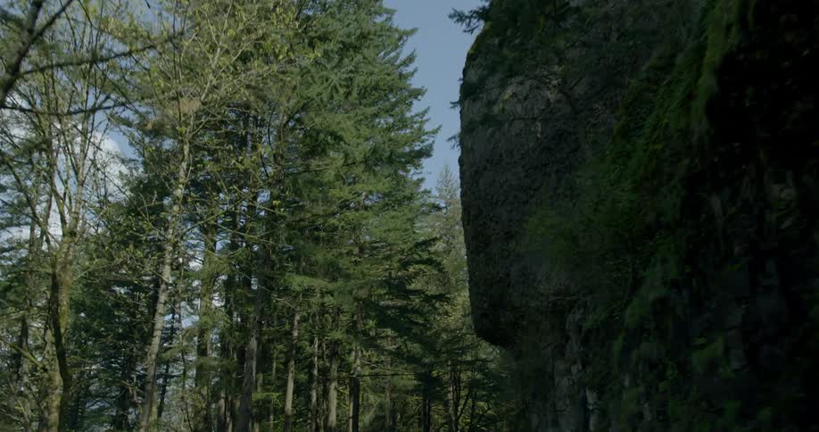 Moving along a highway in a forest and looking up at a rock face