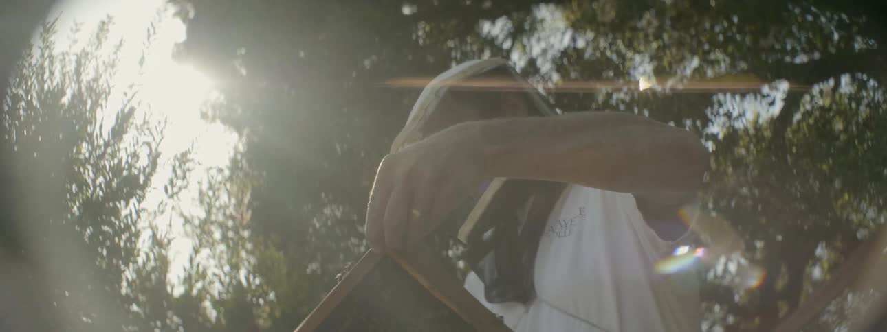 A beekeeper inspects a honeycomb