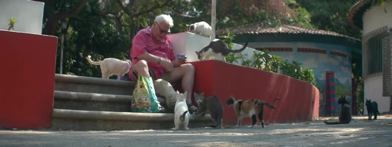 A man is feeding cats from a small can
