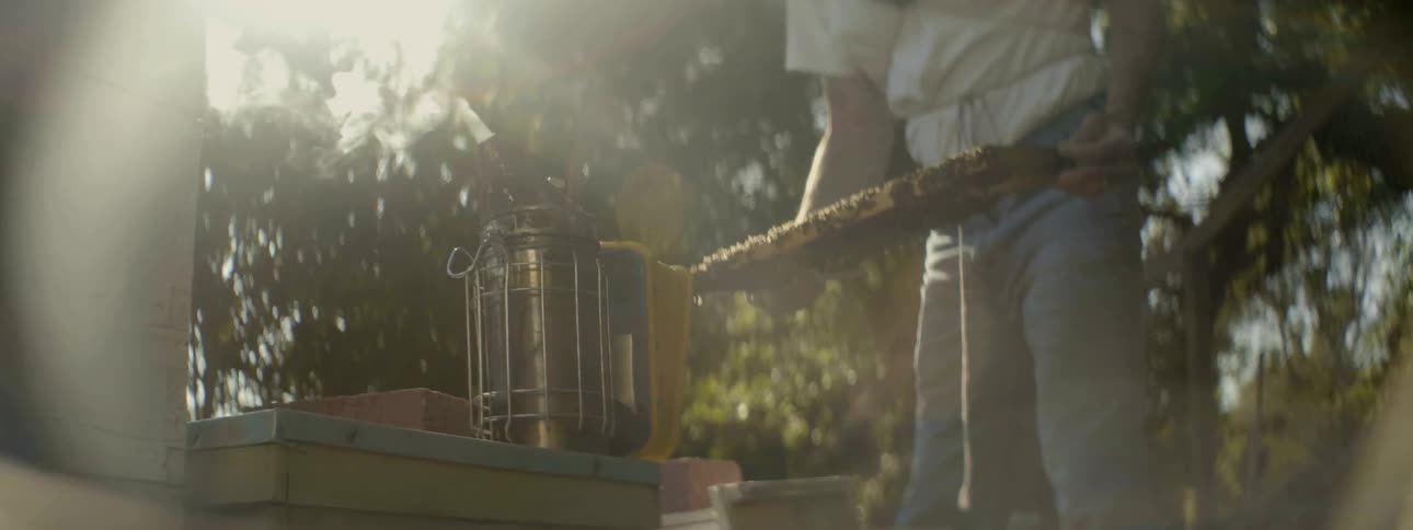A smoke pot smokes as a man tends to a beehive