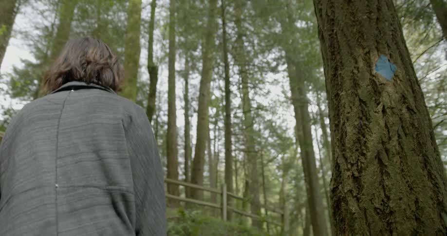 Woman walking through the woods