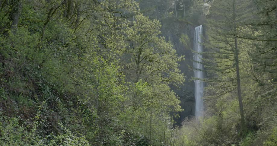 A waterfall in the forest