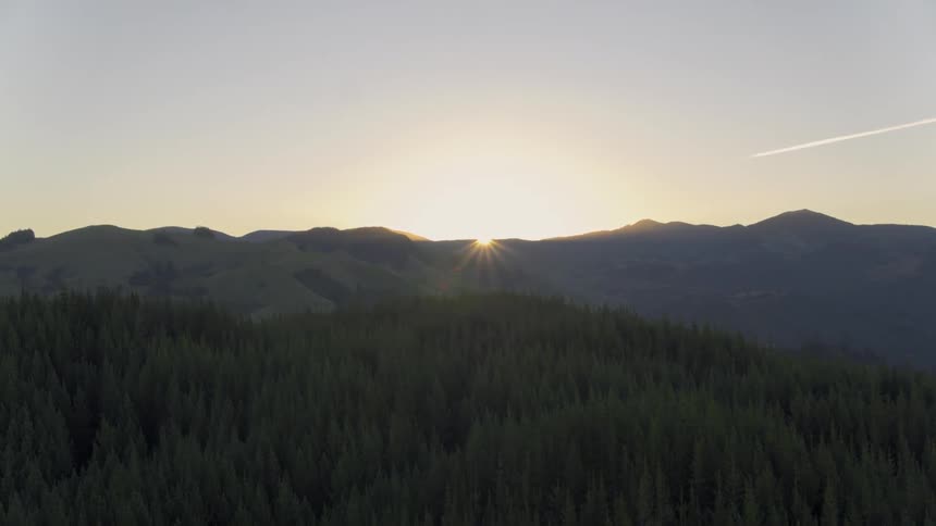 The sun sets over pine trees and mountains