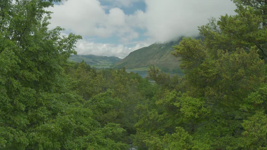 Trees surround a mountain lake