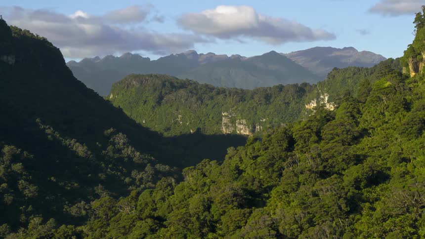 The mountains are tall and covered with green