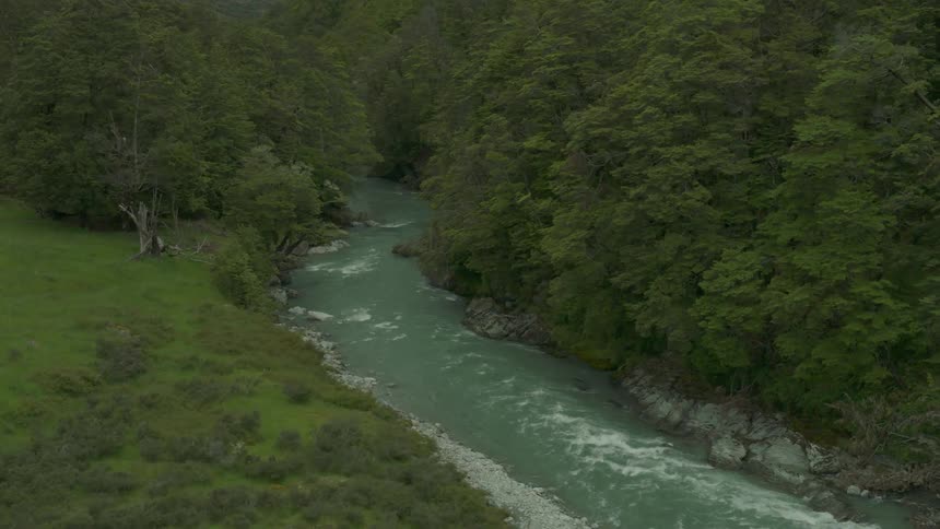 A river cuts through a forest