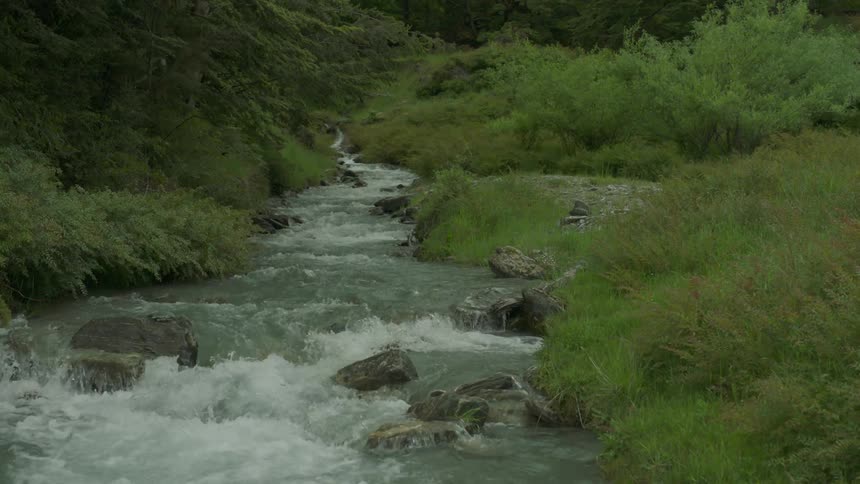 A river flows through a grassy area