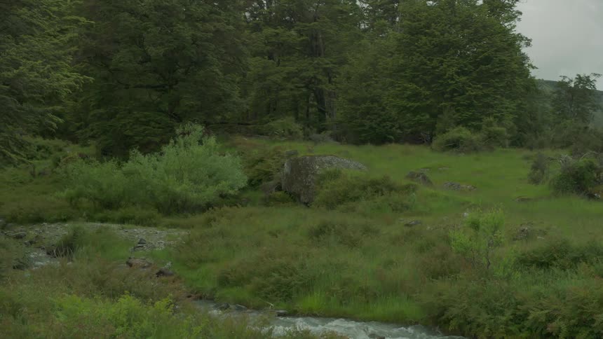 A small stream runs through the wilderness