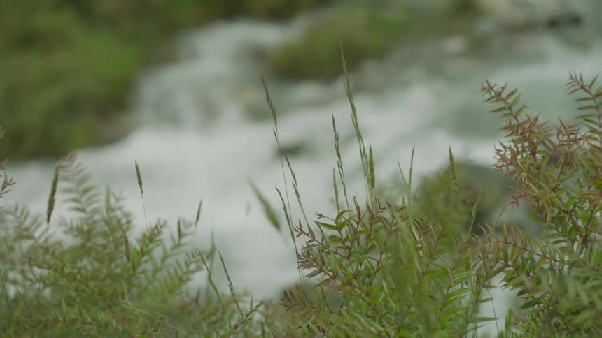 The stream below is going fast over the rocks