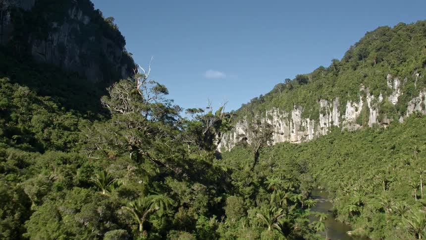 Rocky hills in a dense forest