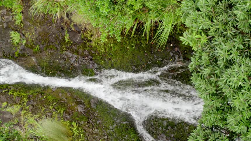 Water flows rapidly down a stream