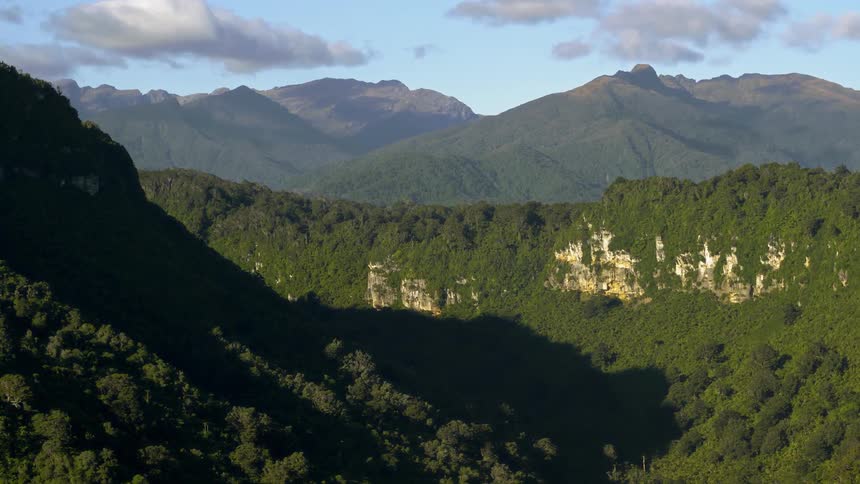 Forest covered mountains