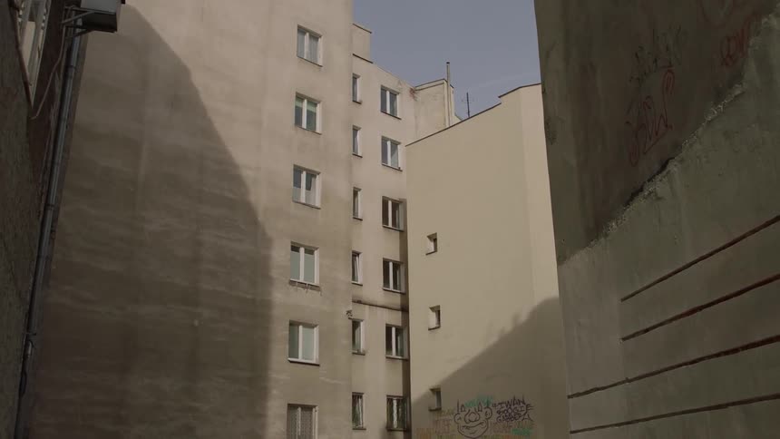 A bird flies near city buildings