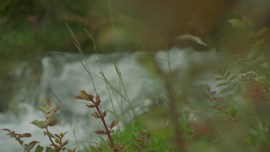 Water flows quickly down the hilly creek
