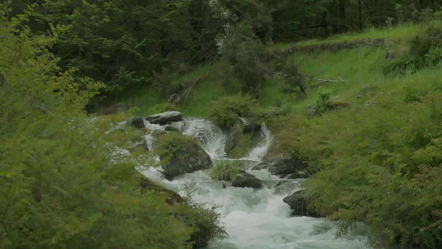 The stream is going over the rocks in the forest