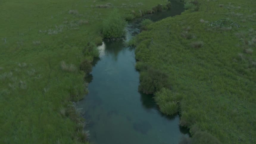 A river surrounded by greenery