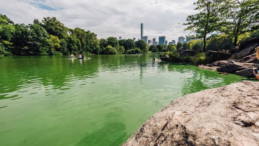 Boats on a green river