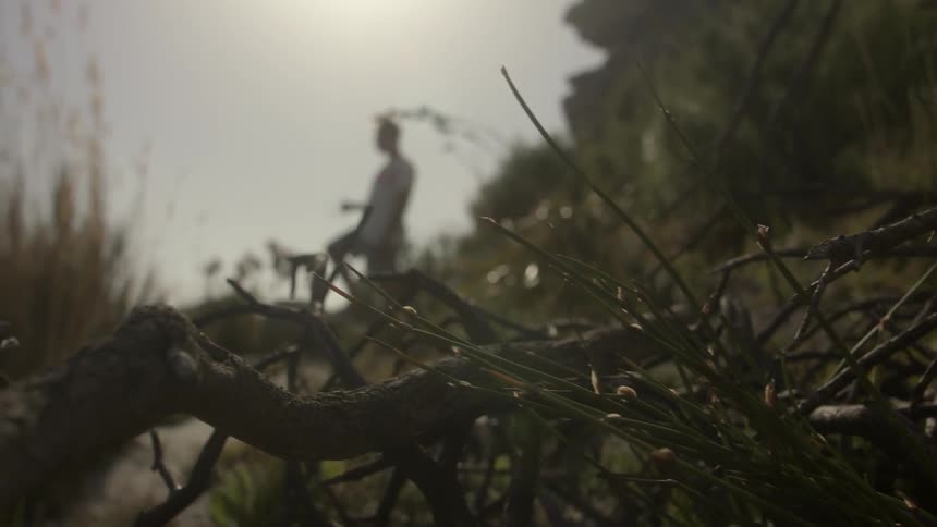 A man stands on a path lined with grass