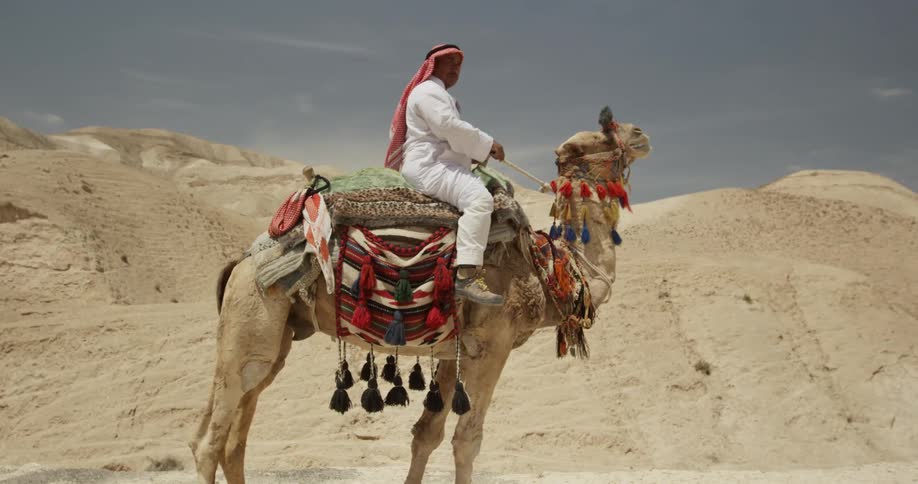 A man sits on a camel in the desert