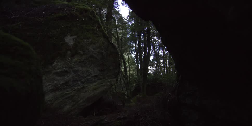 Rock formations in a forest