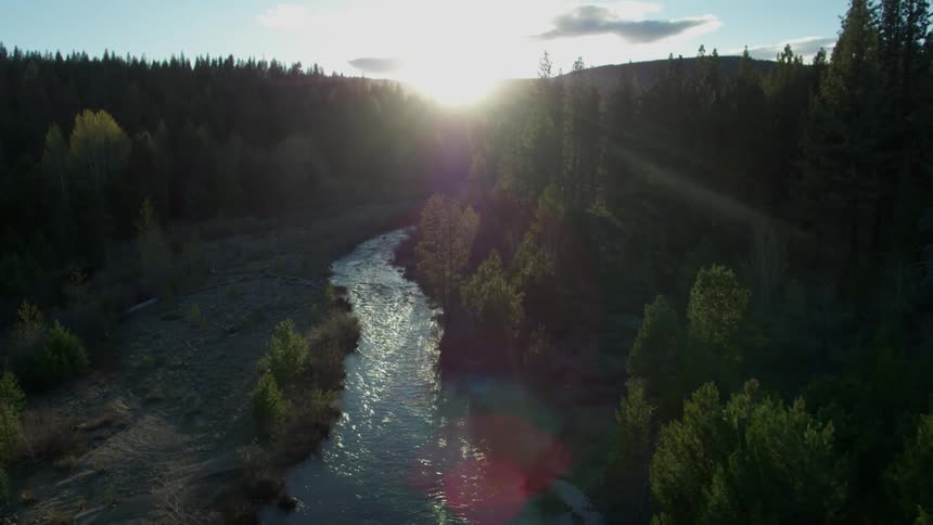 The sun is setting over the forest with a stream
