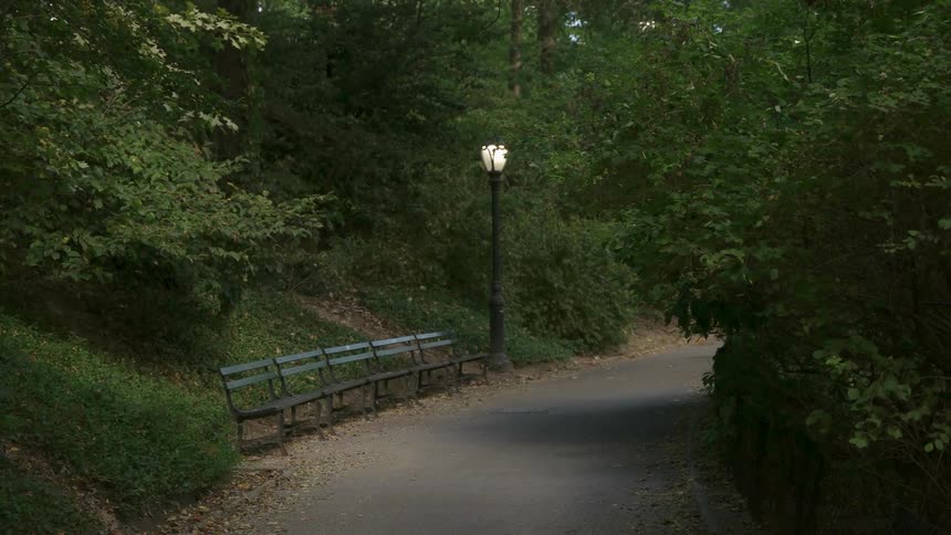 A lamp post is illuminated in a park