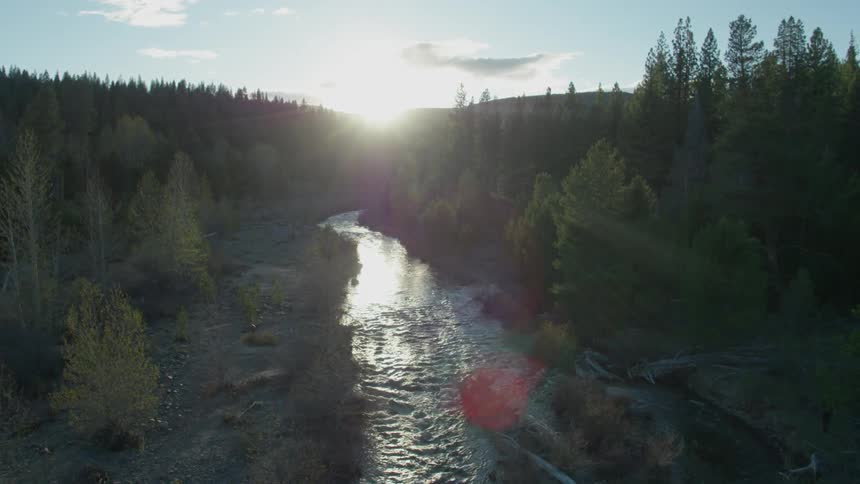 The large creek runs through the forest