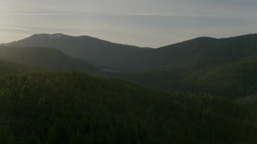 Rolling forested hills