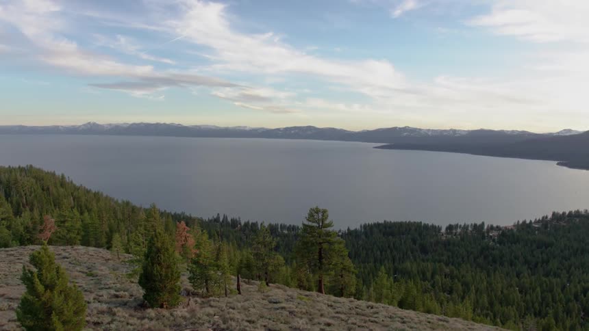 A forest surrounding a large lake