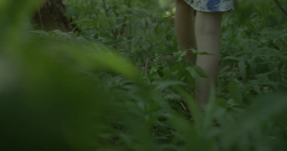 A child is walking through the forest