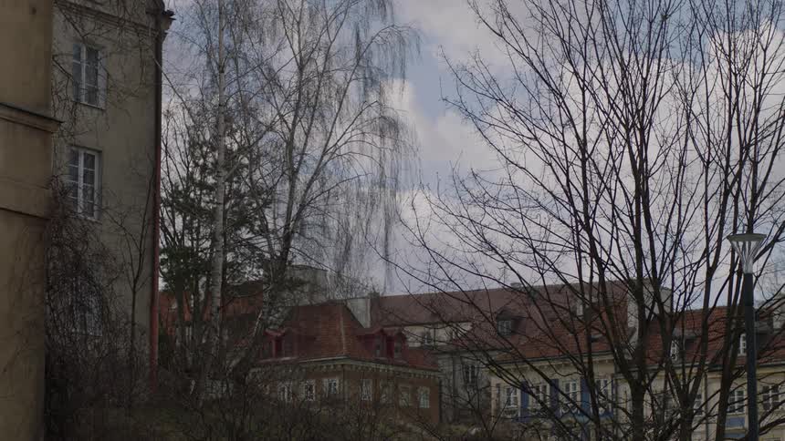Trees near city buildings sway in the wind
