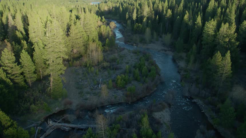 Water flows rapidly down a stream