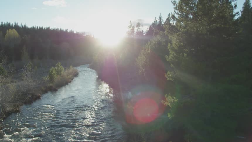 A river flowing through a green forest looking into sun
