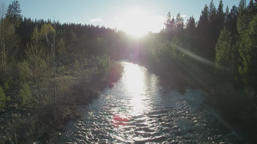 River flowing through a forest area at sunset
