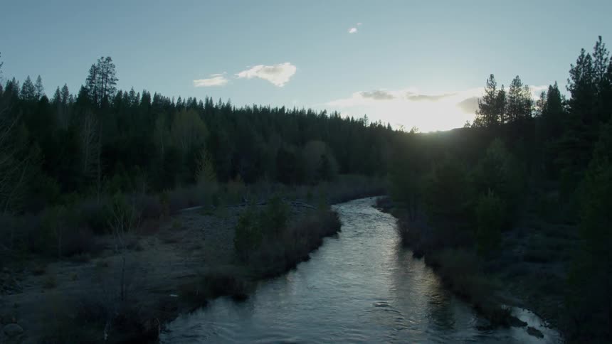 Sunlight shines over a rippling river in a forest